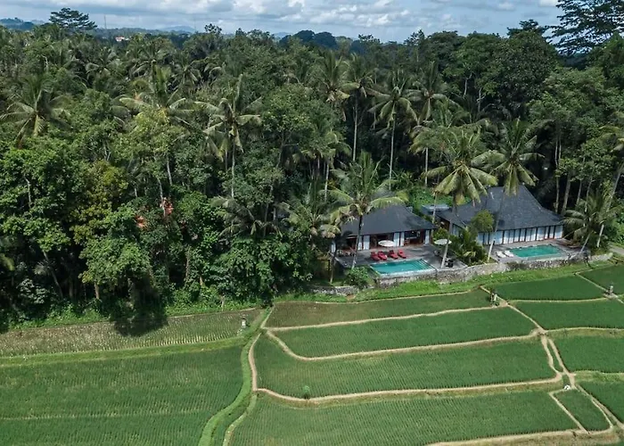 1brv Cozy With Amazing Rice Paddy View *