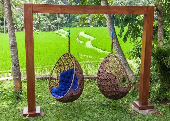 1brv Cozy With Amazing Rice Paddy View