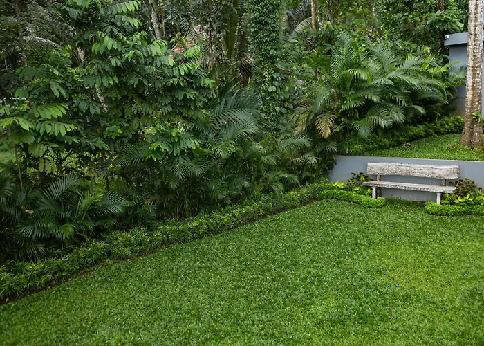 1brv Cozy With Amazing Rice Paddy View Ubud