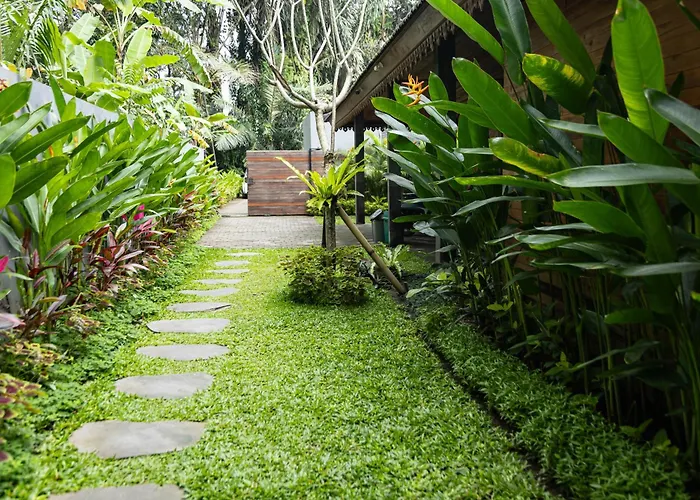 1brv Cozy With Amazing Rice Paddy View *